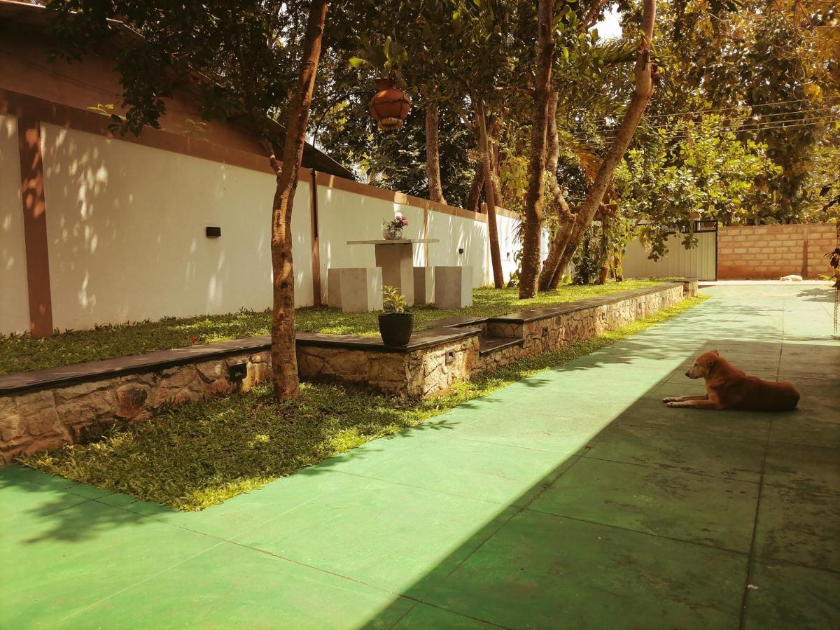 Ceylonima Home Stay Anuradhapura Ngoại thất bức ảnh