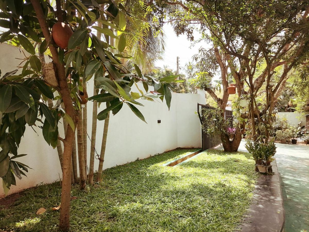 Ceylonima Home Stay Anuradhapura Ngoại thất bức ảnh