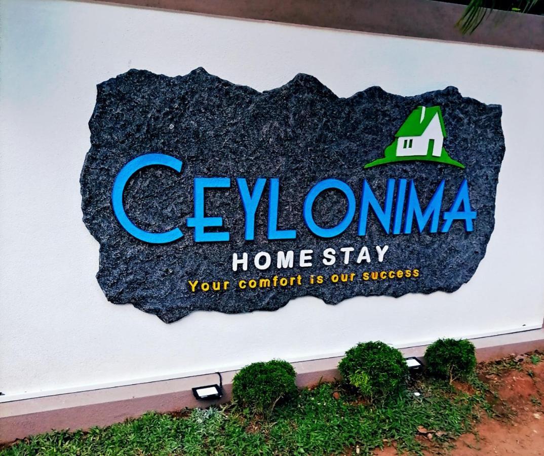 Ceylonima Home Stay Anuradhapura Ngoại thất bức ảnh